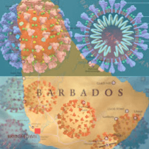 Barbados Covid-19 Protocols