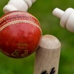Cricket Ball Hitting Stumps