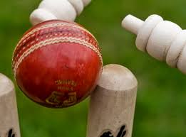 Cricket Ball Hitting Stumps