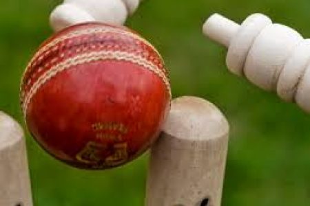 Cricket Ball Hitting Stumps